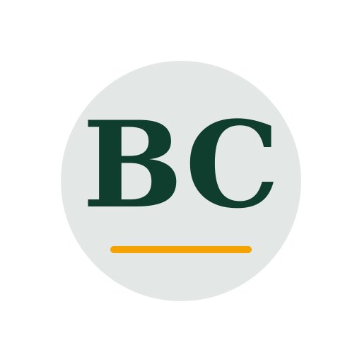 Bass Chimney Services logo